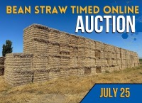 Bean Straw Timed Auction