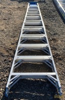 Werner 10' Ladder