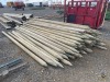 (110) 5"x12' Wood Posts