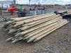 (110) 5"x12' Wood Posts - 3