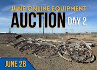 Auction Information