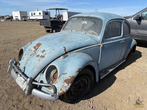 1961 Volkswagen Bug