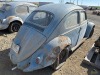 1961 Volkswagen Bug - 3