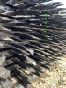 Black Powder Coated Galvanized Steel Fence - 5