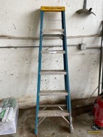 6' Werner Ladder