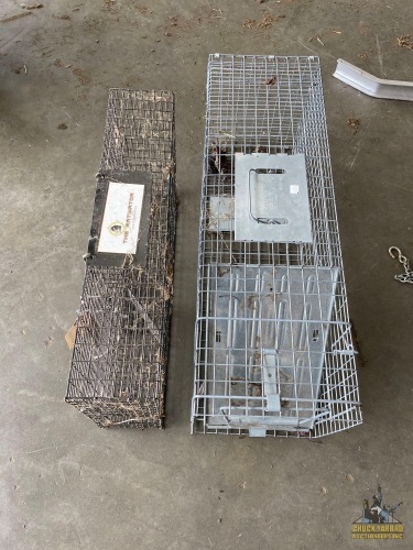 Rodent Traps