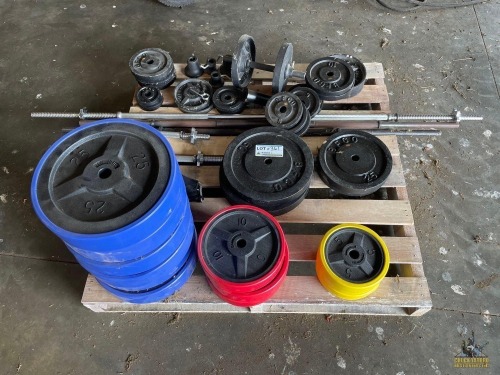 Weight Plates & Bars