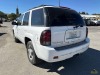 2009 Chevrolet Trailblazer - 3