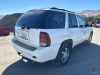 2009 Chevrolet Trailblazer - 5