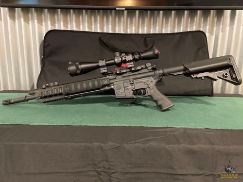 Ruger SR-556