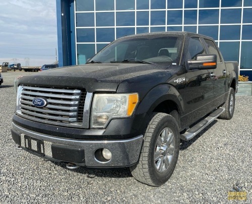 2010 Ford F-150 Pickup XLT