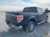 2010 Ford F-150 Pickup XLT - 6