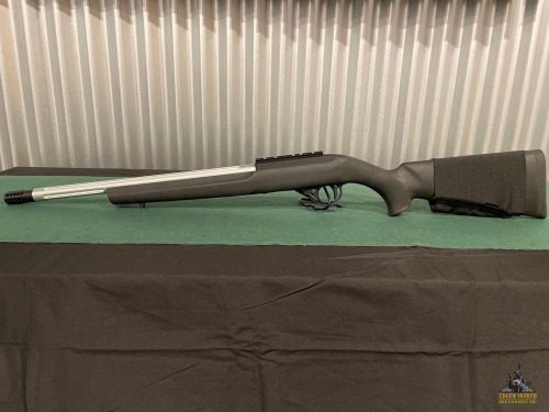 Ruger Md 10/22 .22LR