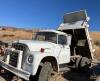 1977 International 1600 Loadster Dump Truck - Selah - 2