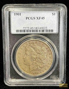 1901 Morgan Dollar