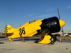 Thunder Hawk Airplane Model