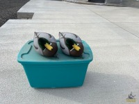 6-Duck Decoys