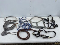 Assorted Halters and Lead Ropes