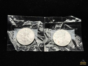 (2) 2013 American Eagle Silver Dollars