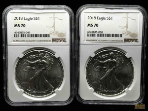 (2) 2018 American Eagle Silver Dollar