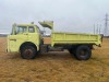 1984 Ford 8000 Dump Truck - 2