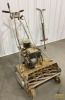 Antique Craftsman Lawnmower - 2