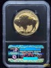 2013-W Gold Buffalo $50 Dollar Early Release - 2