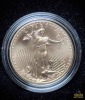 2006-W American Eagle 20th Anniversary Gold & Silver Set - 2