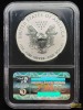 (2) United States Mint 2012 American Eagle Silver Dollar Coin Set - 5