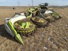 2012 Claas Orbis 600 Rotary Corn Head - 6