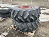 (2) 16.9x24 Circle Tires