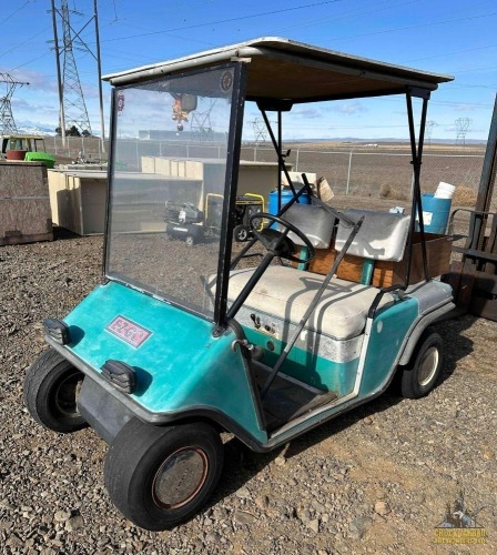 Electric Golf Cart