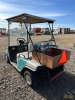 Electric Golf Cart - 2