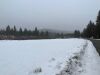 Nice Build Site! 27.69 Acre Okanogan WA Parcel Tax #3530120014 - 4