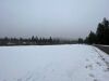 Nice Build Site! 27.69 Acre Okanogan WA Parcel Tax #3530120014 - 8