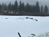 Nice Build Site! 27.69 Acre Okanogan WA Parcel Tax #3530120014 - 35