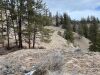 Beautiful View 10.5 Acre Okanogan County Parcel!- Tax #3530120008 - 23