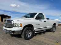 2002 Dodge Ram 1500 Pickup