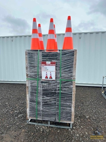 250-Safety Cones