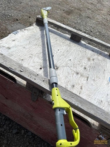 Ryobi Corded Pole Saw