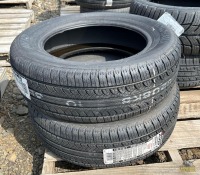 (2) P205/60R16 Avid Tires