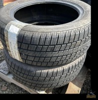 (2) 205/55R16 Raptor Tires