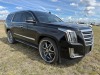 2017 Cadillac Escalade Platinum - 7