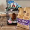 Goldendoodle Puppy and Puppy Care Package - 2