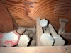 Contents of 105 Hole Wooden Bolt Bin (Bolt Bin Does NOT SELL) - OFFSITE - 8