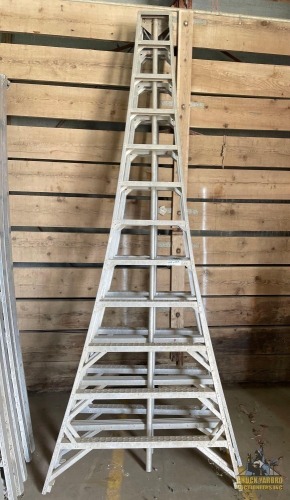 (3) 12' Aluminum Orchard Ladders