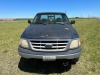 1999 Ford F-150 Pickup - 8