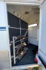 3-Stall Horse Trailer - 9