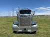 1993 Peterbilt 378 Semi - 8