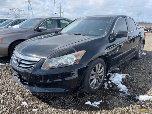 2011 Honda Accord Sedan Car